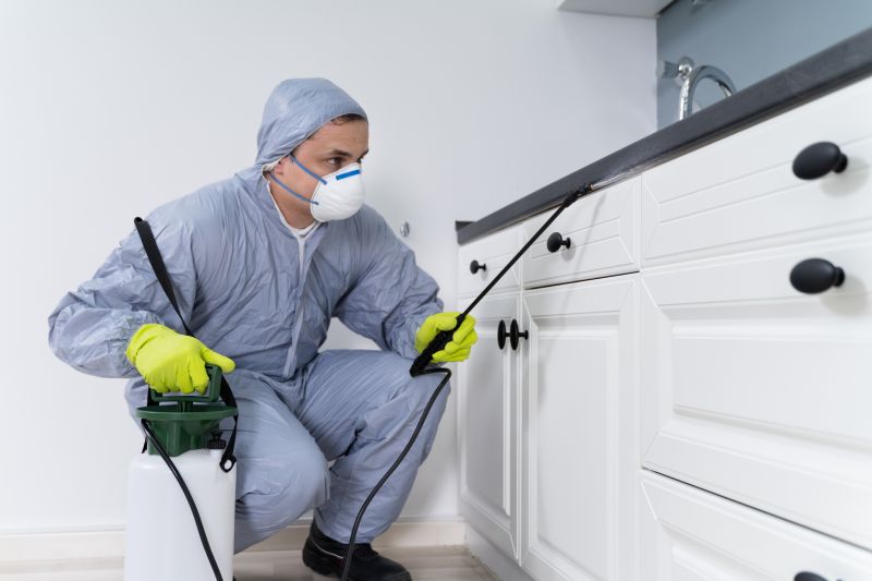 Beetle Removal in Katy, TX