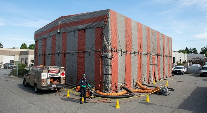 Commercial Fumigation in Naperville, IL