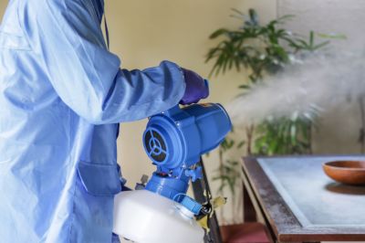 Fumigation Service in Clarksville, TN