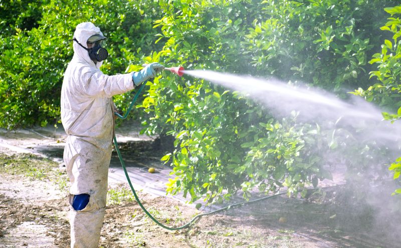 Fumigation Service in Long Island, NY