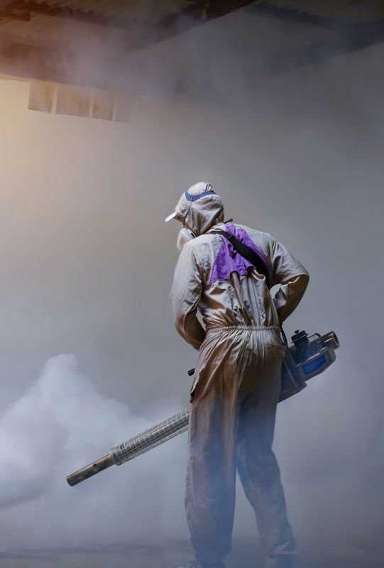 Rat Fumigation Service in Coeur D Alene, ID