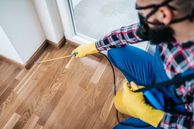 Spider Extermination Service in Katy, TX