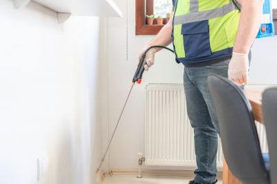 Ants Extermination Service in Denton, TX