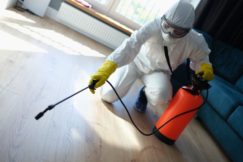 Carpet Beetle Extermination in Katy, TX