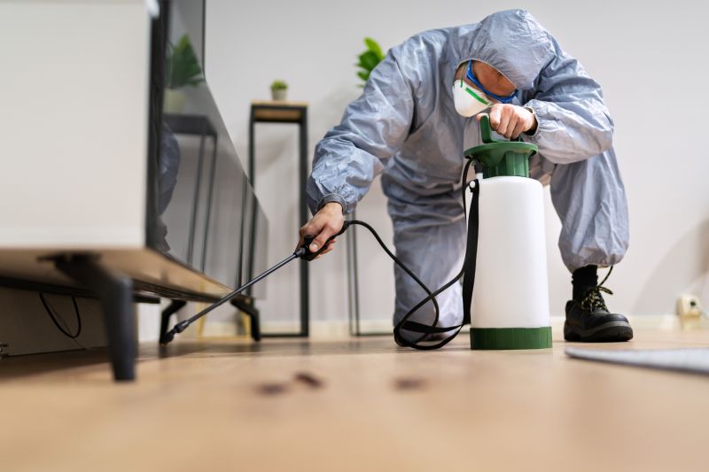 Fumigation Service in Tampa, FL