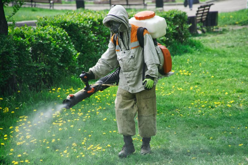 Insect Control Service in Katy, TX