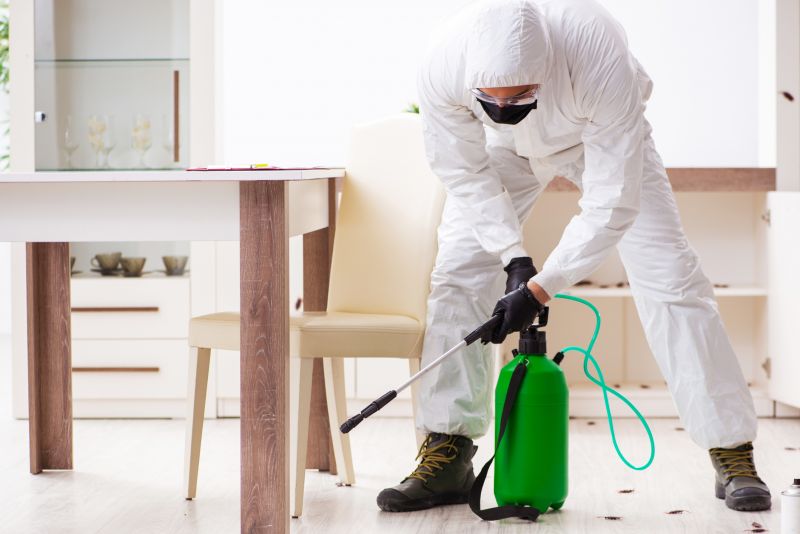 Insect Extermination Service in Katy, TX
