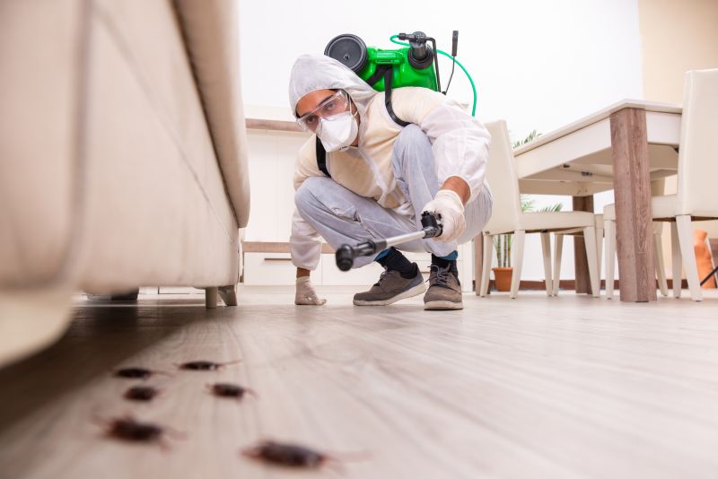 Outdoor Pest Control Service in Katy, TX