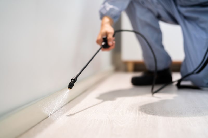 Pest Control Service in Frisco, TX