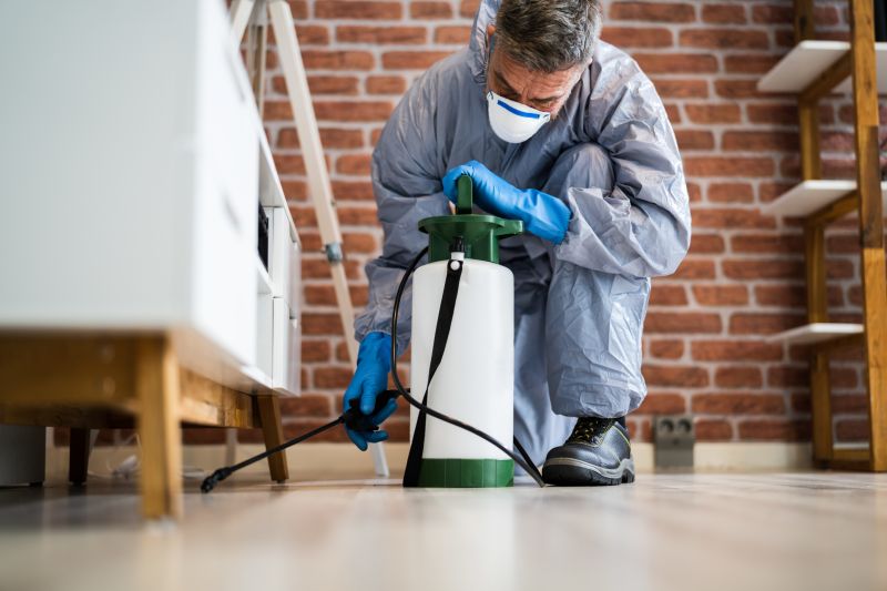 Pest Extermination Service in Katy, TX
