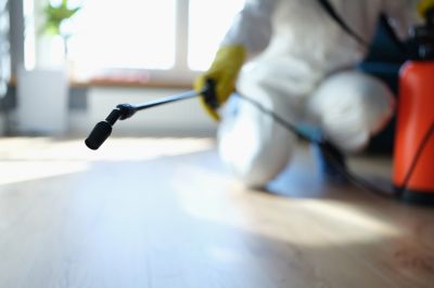 Pest Fumigation Service in Fredericksburg, VA