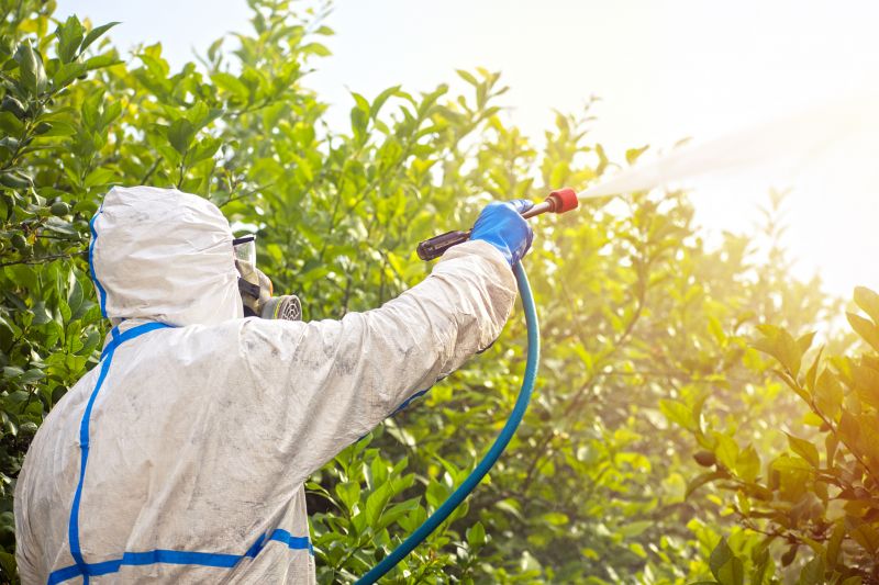 Pest Fumigation Service in Long Island, NY