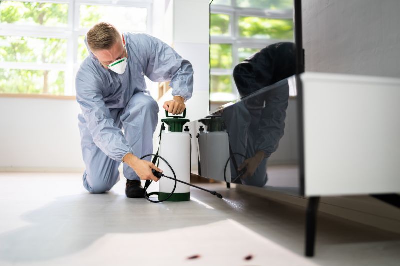 Pest Inspection Service in Katy, TX