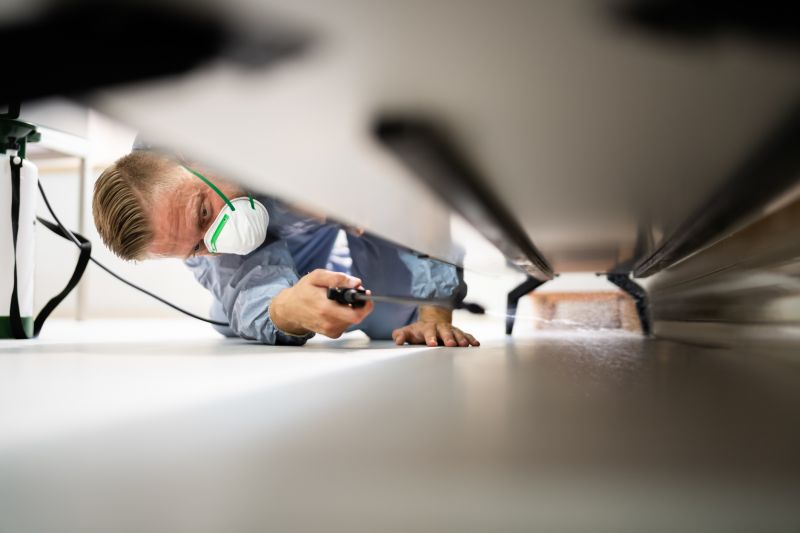 Pest Treatment Service in Katy, TX