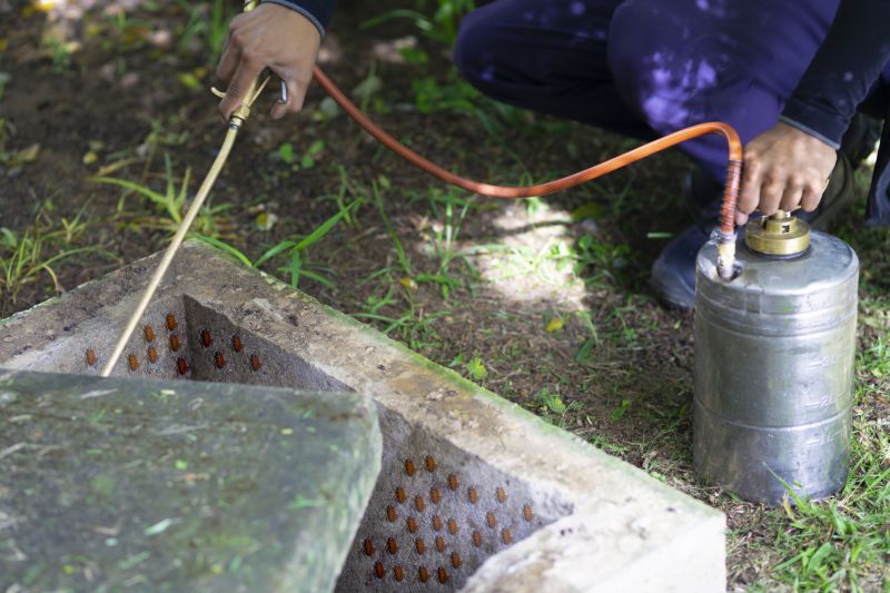 Roach Fumigation in Winston Salem, NC