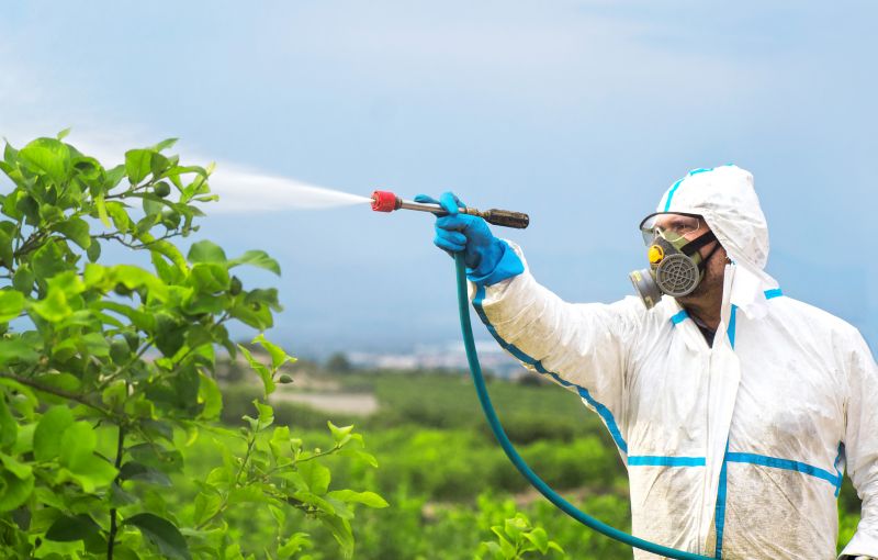 Roach Fumigation in Madison, WI