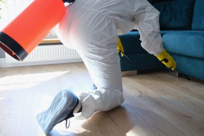 Spider Fumigation Service in Fort Myers, FL