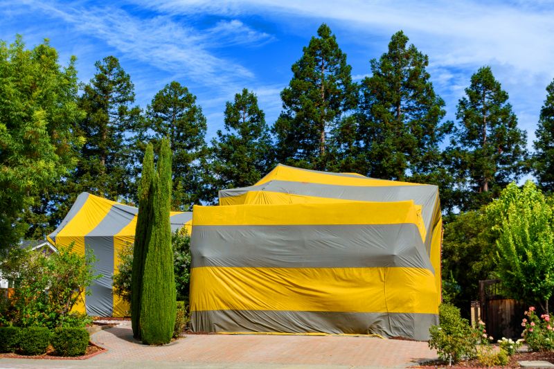 Termite Tenting in Wilmington, NC