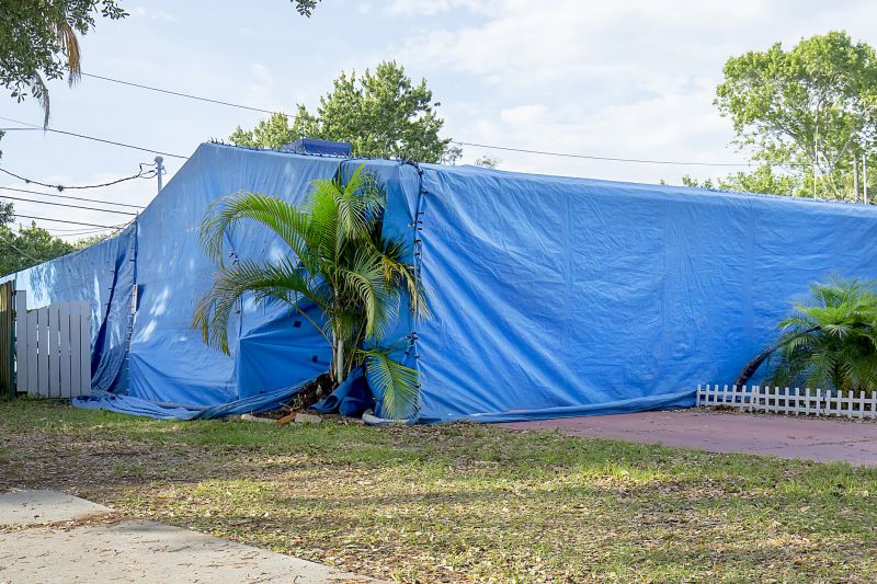 Termite Tenting in Toledo, OH