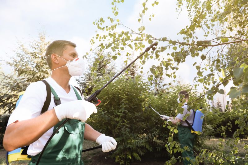Yard Pest Control in Katy, TX